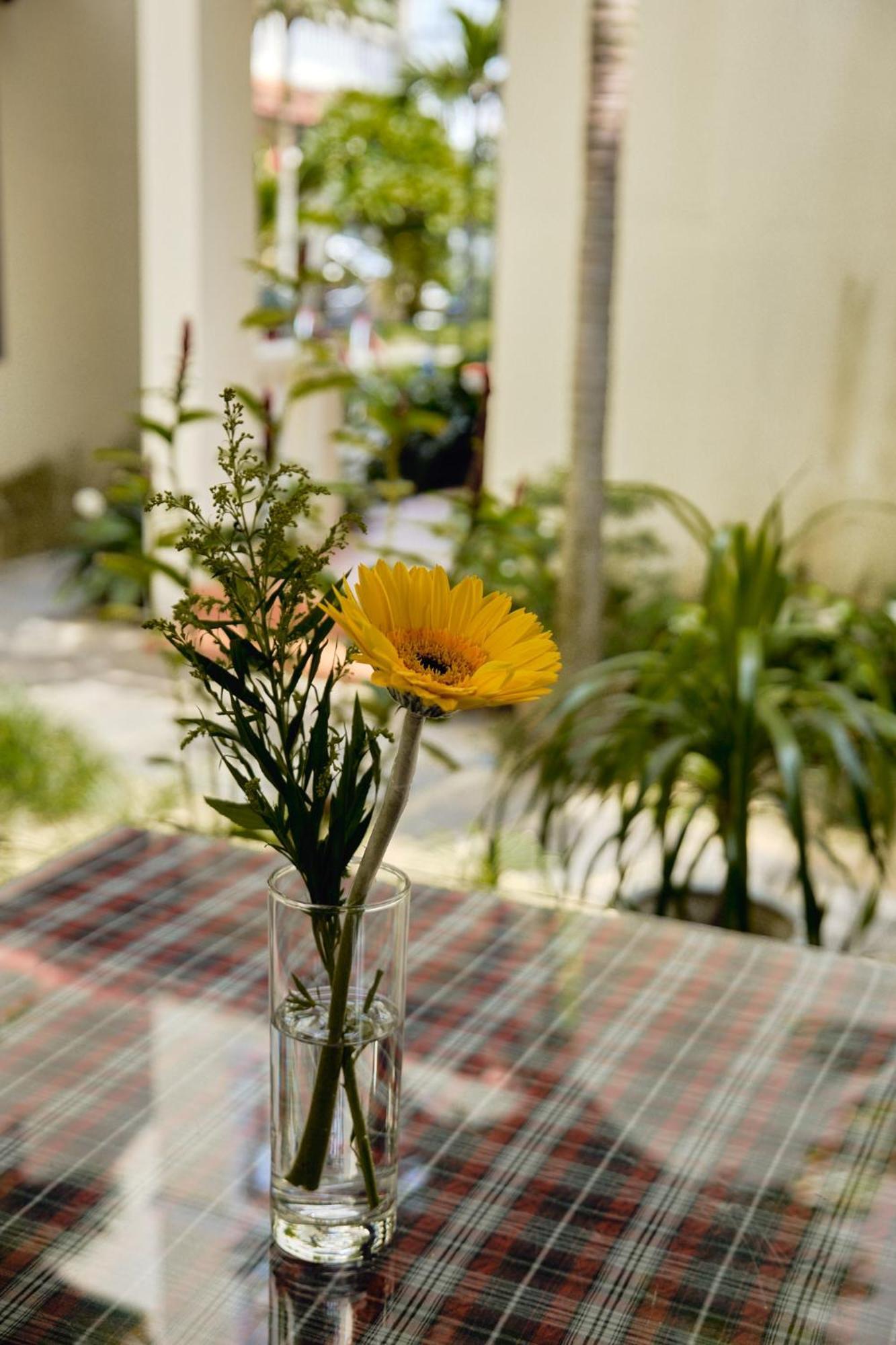Hoi An Holiday Villa Екстериор снимка